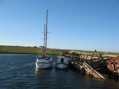 Beta Plus & Island Maid at Goose Green